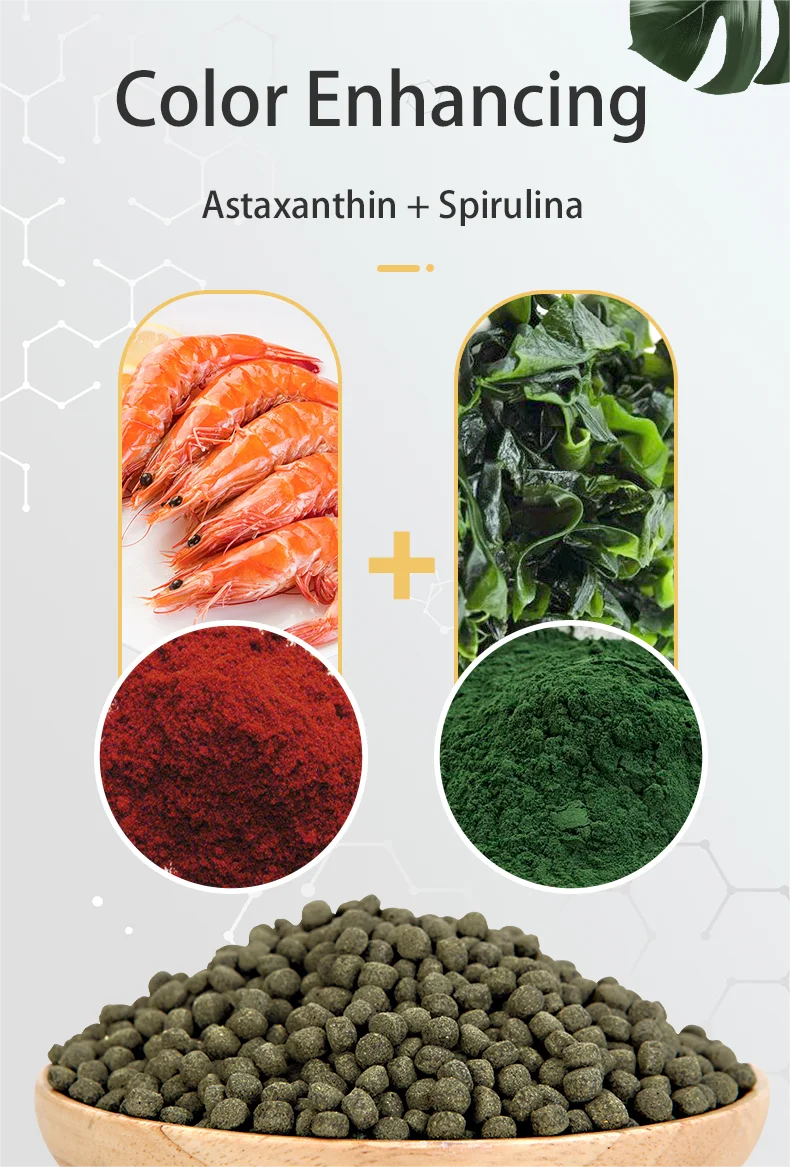 Multifunctional Fish Food Yee Factory Price Aquarium Fish Food High