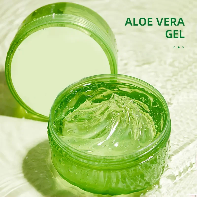 buy aloe vera plant near me Explore Our Cactus Aloe Vera Plant