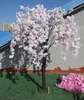 Fiore di ciliegio S2