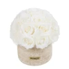 25 Rosa bianca