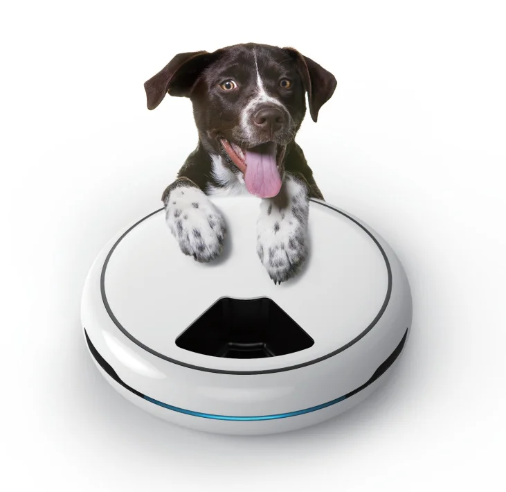 dog timer bowl