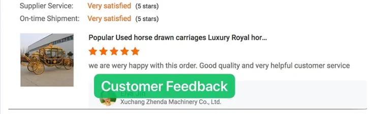 Special Transportation/Electric Sightseeing horse drawn  cart/Electric Pumpkin Horse drawn Carriage