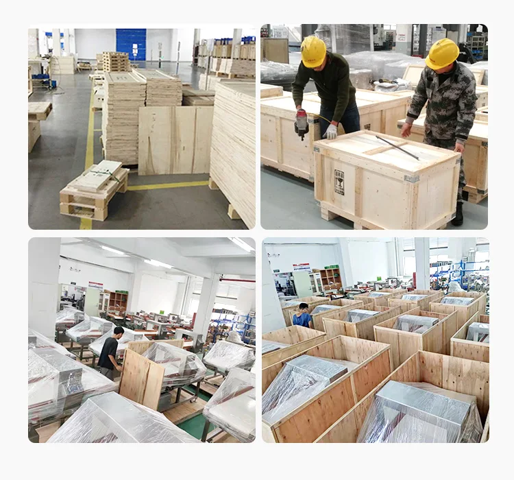 High Accuracy Food Package Automatic Fix Capsule Check Weigher Weighing Check Machine with Conveyor and Vibrating Plate