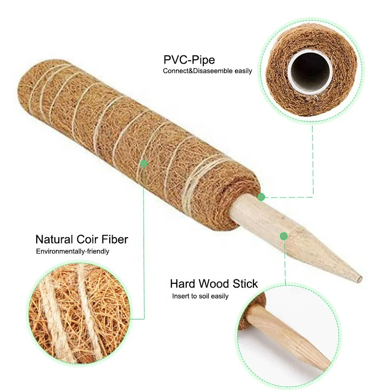 2 Kokosfaser-Moosstangen Als Kletterhilfe - 30 Cm Hoch, Für Kletterpflanzen Wie Monstera & Efeu
