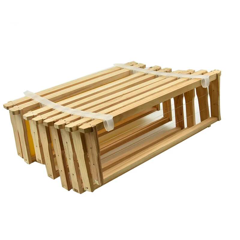 Beekeeping Apiculture Equipment Beehive Frame Spacers Plastic For Beekeeper