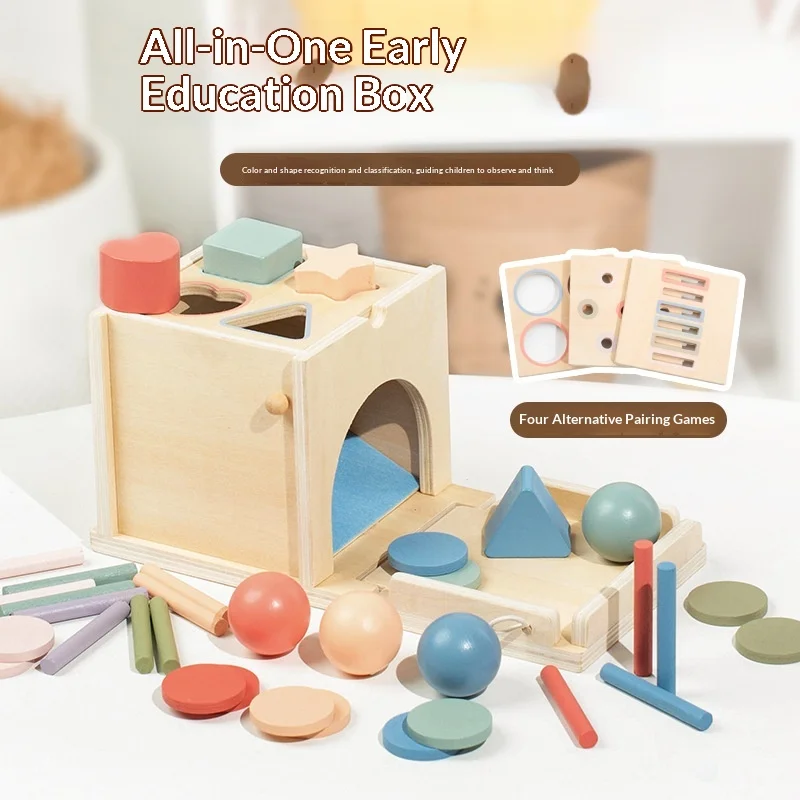 Mga Edukasyonal na Laruan na Montessori para sa Sanggol at Bata: Kahoy na Laruan na 4-in-1, Multifunctional na Montessori na Matching & Sorting Box