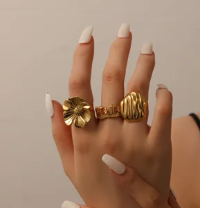 Custom Gold Plated Modern Luxury Jewelry  Crown Stainless Steel Domineer Women Rings Jewelry Set Jewelry Gift