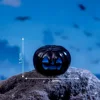 Small Black Pumpkin