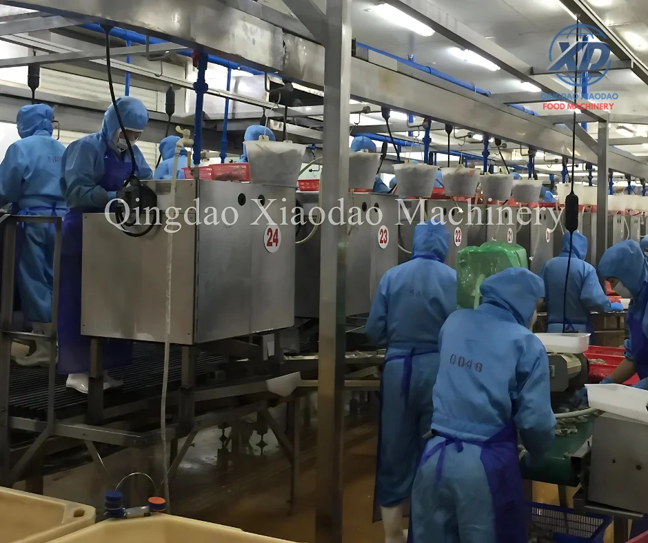 Premium Design Automatic Shrimp Shell Remover and Vein Cleaner Equipment  Shrimp Processing for Industrial Shrimp Processing