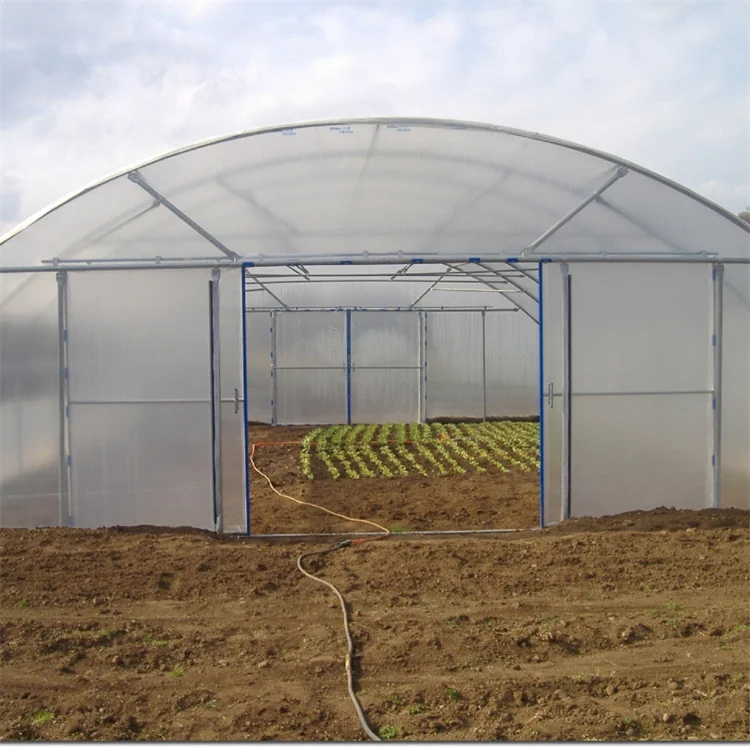 Low Cost Tunnel Greenhouse Galvanized Steel Frame Single Span Pe Film