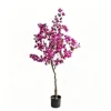 สีม่วง