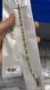 X001186881