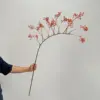 147cm - Rama grande de naranja