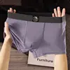 Stile elefante - viola
