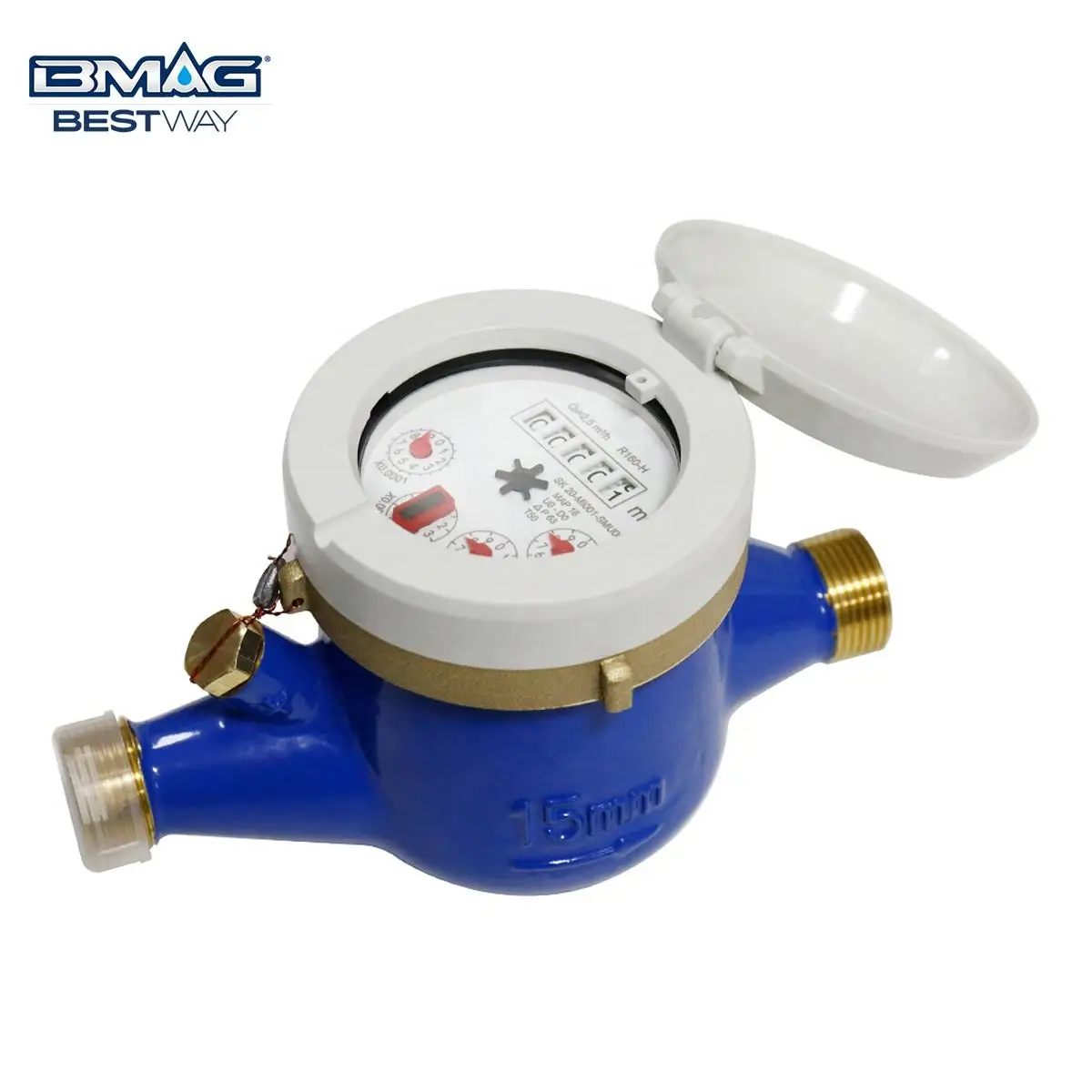 BMAG DN15~DN50 Class B/C PN16 IP68 OEM Multi-Jet Brass Water Meter with ...
