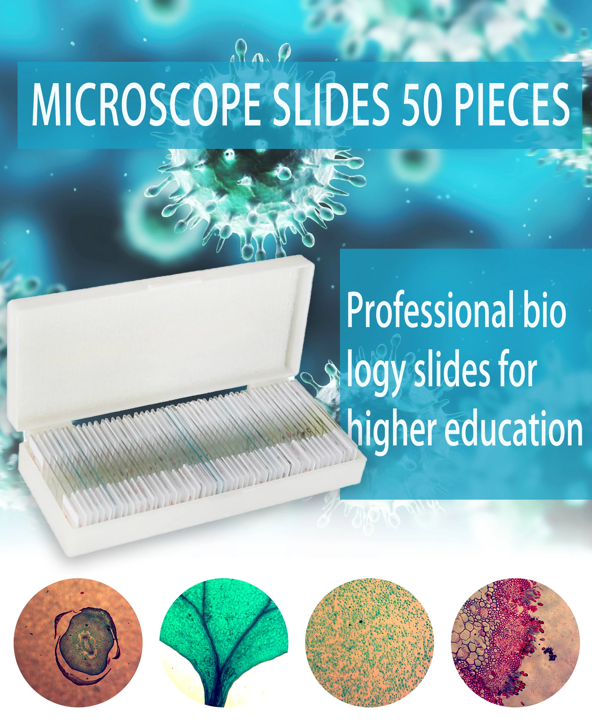 Bioslice Microscope Slide University Education Plant Slides Mix Pack 50