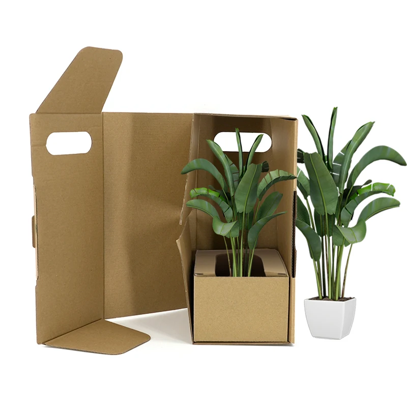 Wholesale Customized Recyclable Paper Succulent Pot Plant Packaging Box Long Cardboard Live Cactus Plant Shipping Carton Box