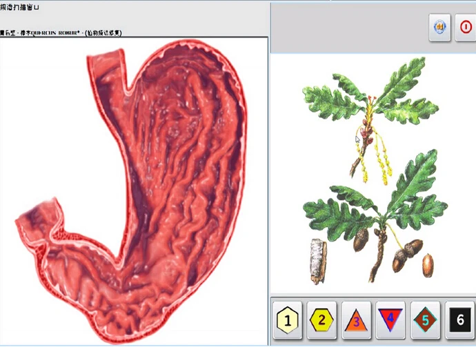 Oberon methapathia hunter шлем типа metatron meta nls hunter 4025 nls 25d