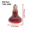 R80 rosso 75W