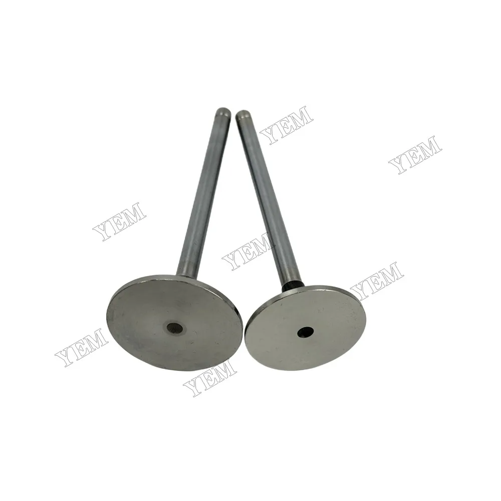Intake and Exhaust Valve Fit for John Deere 4045D Engine 4