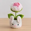 Pink rose