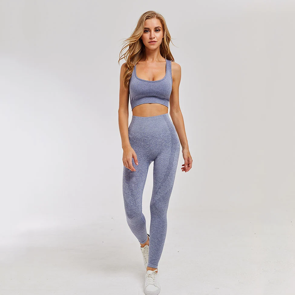 Sports Yoga Clothing Fitness Yoga Set Seamless Yoga Pants and Sports Bra 2 Piece Workout Set