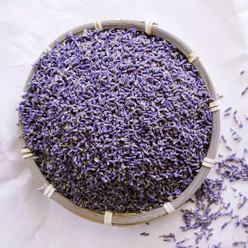 
 Top Quality Ornamental Flower bulbs Seeds Lavender Seeds For Sowing Decor Make Sachet Scented candles  