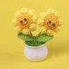 2 têtes et 4 cercles smiley visage plantes en pot
