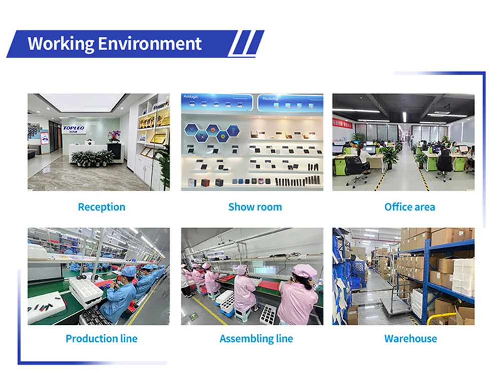 TOPLEO TECHNOLOGY LIMITED 1