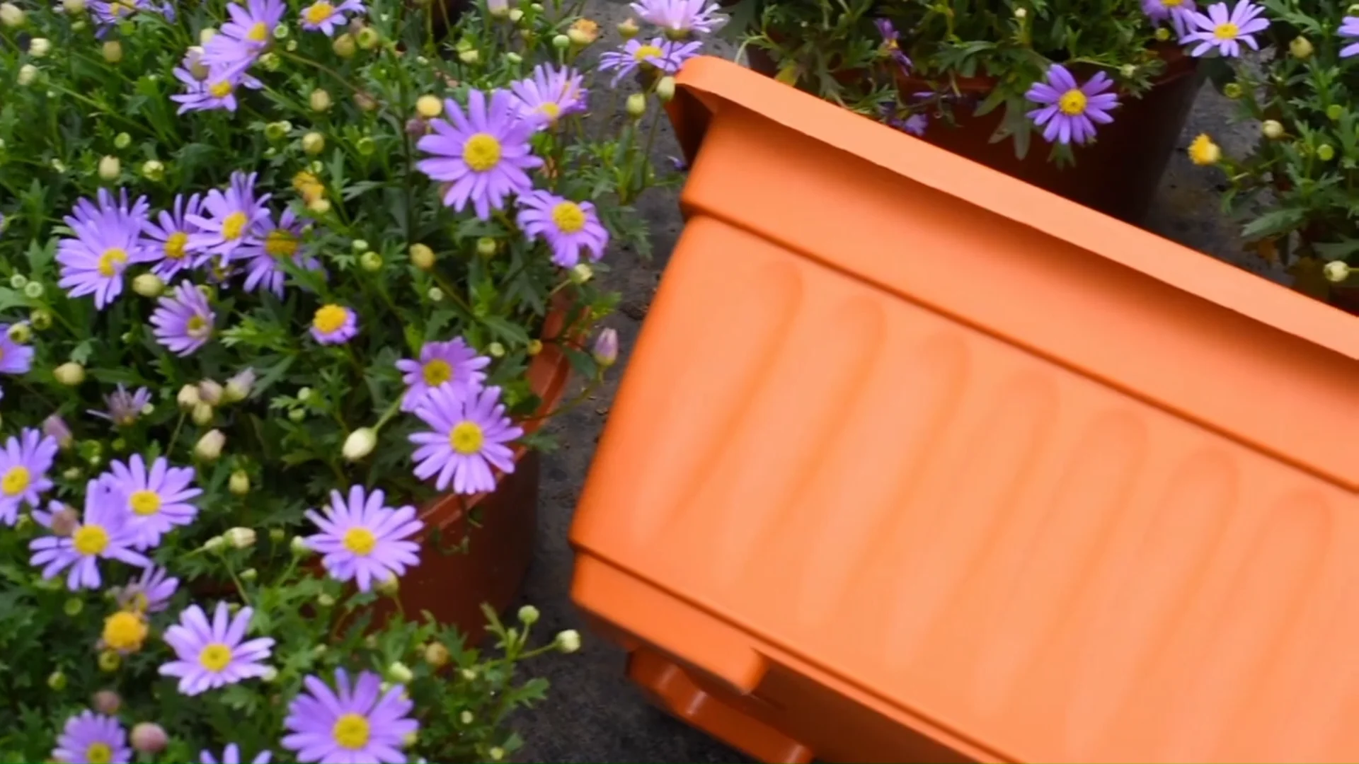 modern plastic square flower pots for indoor outdoor garden