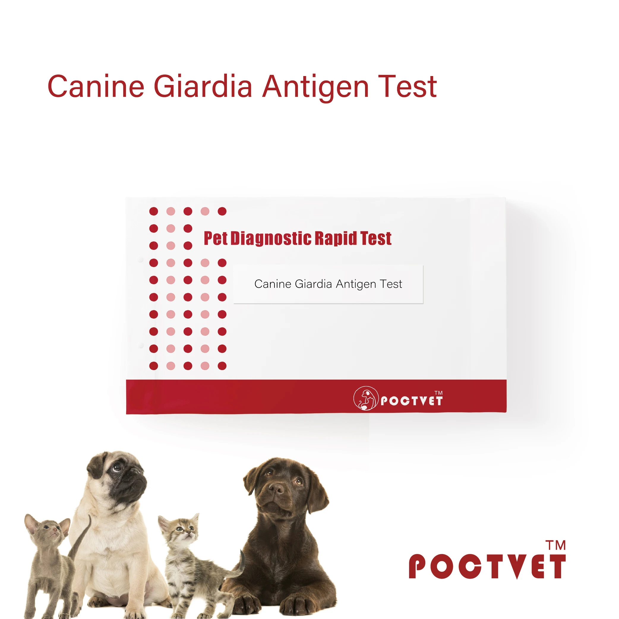 High Quality Canine Giardia Reagent Immunoassay Antigen Rapid Test Kit