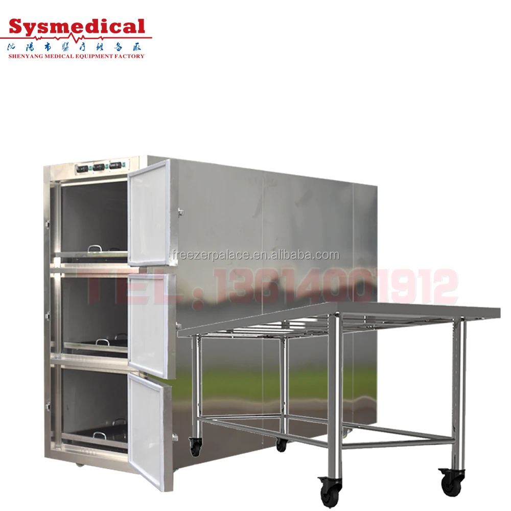 Mortuary Refrigerator Cadaver Refrigerator Caskets and Coffins Hospital Cadaver Refrigerating Chamber Corpses Freezer Price