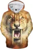 Fer Tiger2
