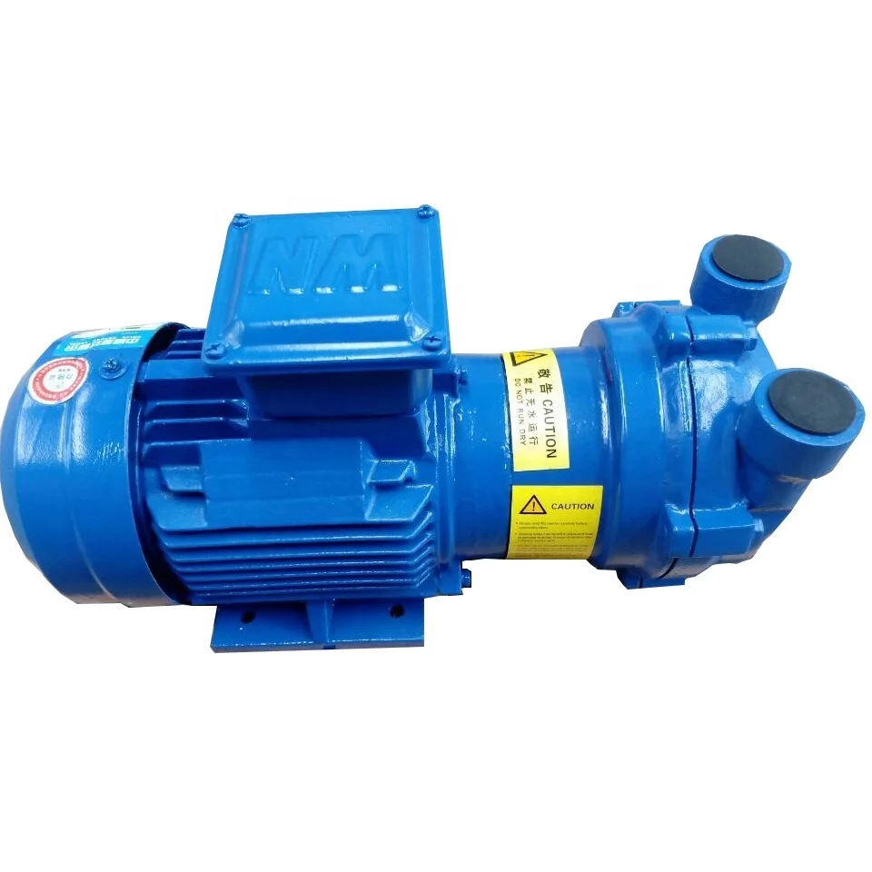 2BV2-061 52m3/h 2BV Liquid Ring Vacuum Pump Similar to ELMO SIHI