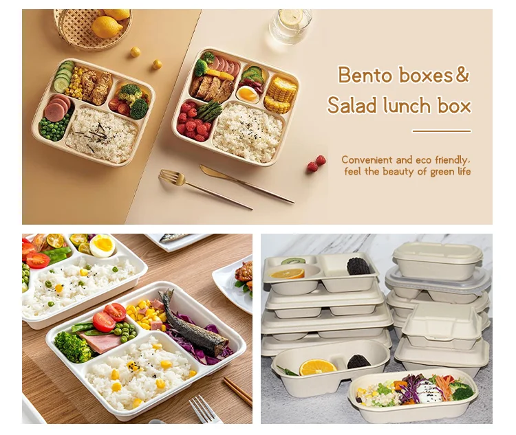 Multiple Container Lunch Box Multiple Disposable Eco-friendly Specifications Food Container ...