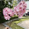 Ortensia a due teste - rosa