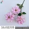 3-headed glued rose, BD, pink