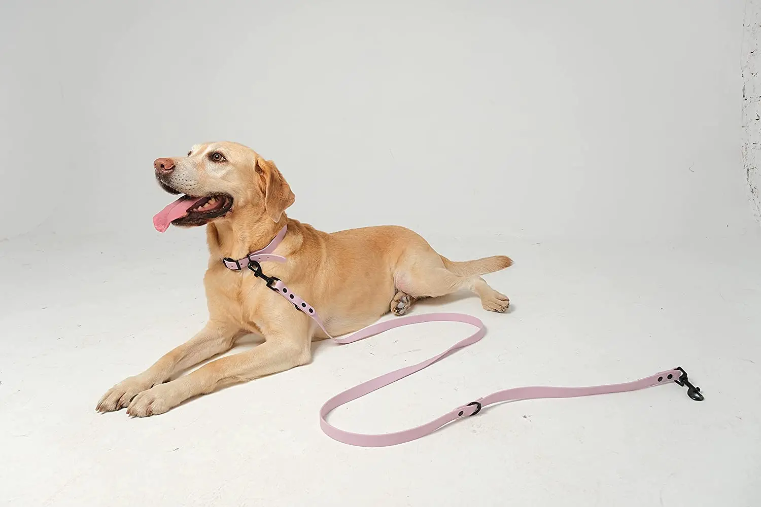 Wholesale Soft Pvc Waterproof Dog Buckle Collar Leash With Name Tag