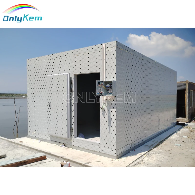 Walk in Freezer Cold Storage Butcher Shop Cold Room for Sausage Meat Processing Plant