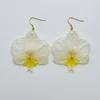 1 pair earring,color 6