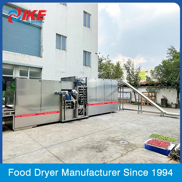 Cassava Processing Machine Pepper Mesh Belt Dehydrator Machine Price Fruit and Vegetable Tunnel Dryer