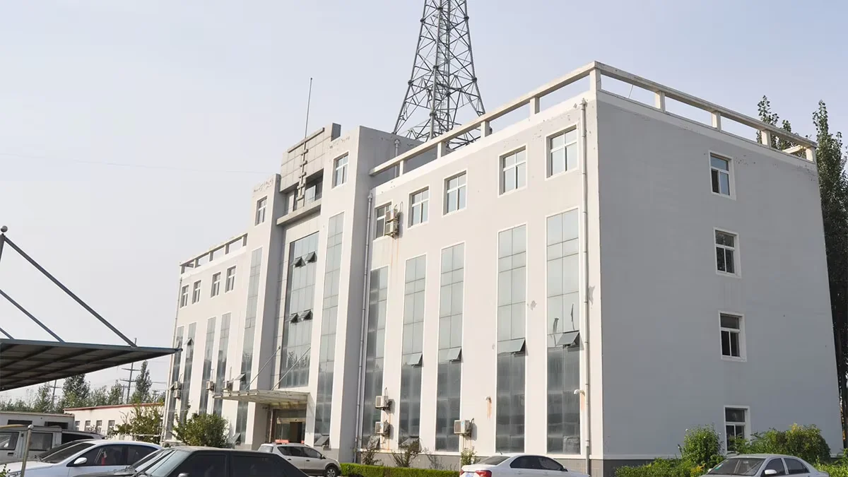 Company overview