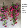 Mixed colors of rose red and purple