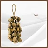 Panji 70 conchas