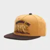 Dark Yellow