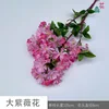 Crape myrtle flowers JN Deep pink