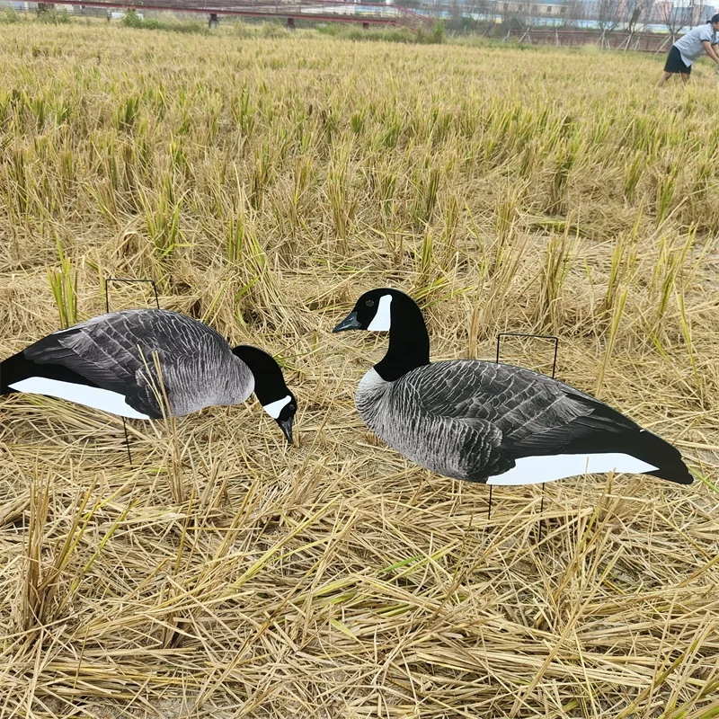 China Silhouettes Goose Decoy Hunting From Xilei Manufacturer
