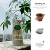 kits de plantation