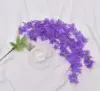 Viola chiaro