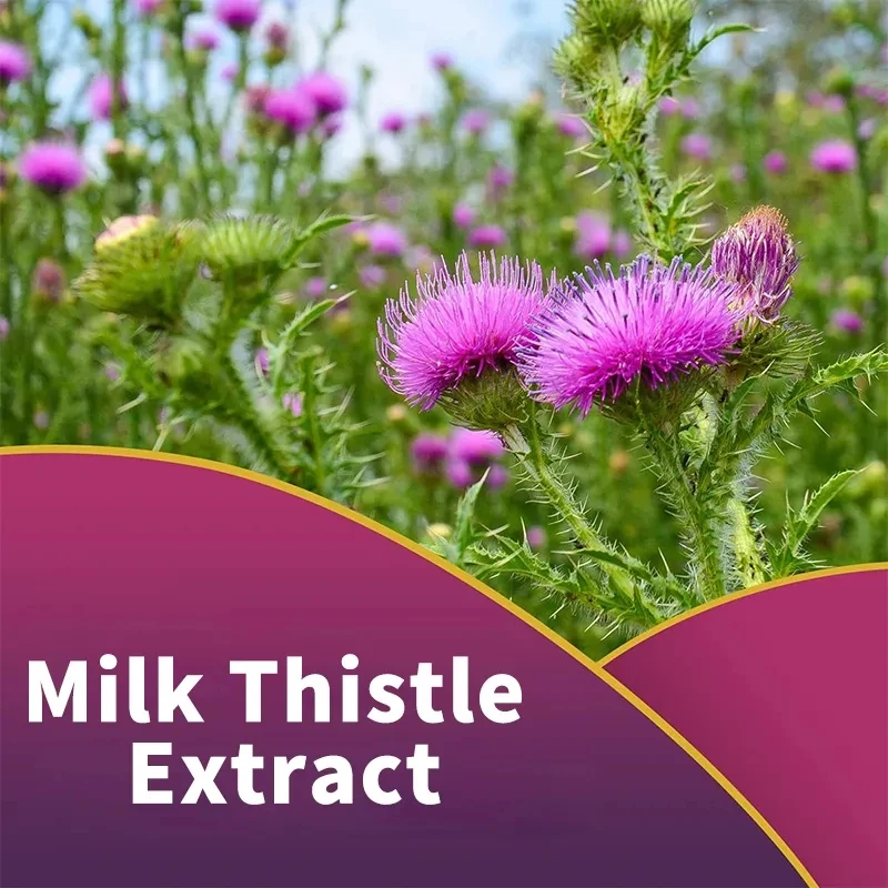 Oem/odm/obm Milk Thistle Extract Herbal Supplement Immune System